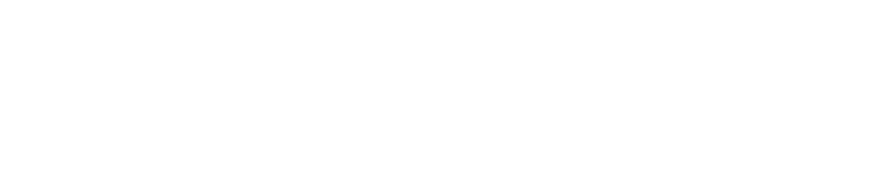 Predictorix